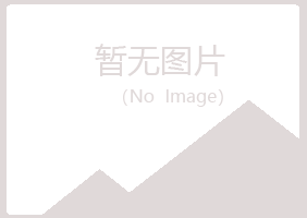 兰州山柳工程有限公司